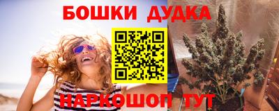 мет Дубна