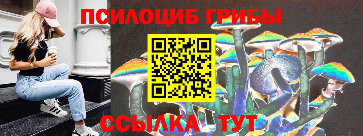 Псилоцибиновые грибы GOLDEN TEACHER Мариинск